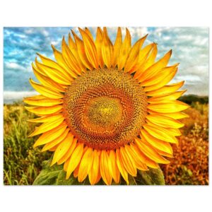 a3dc05ee-864d-49c9-af04-8fdb3e813f83