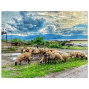 17f2f285-9ed5-457e-9d00-6db5f7f9189d