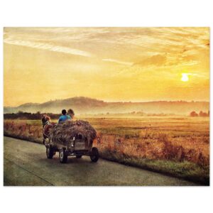 240fddb6-bc3a-4686-a86d-00f0202c984e