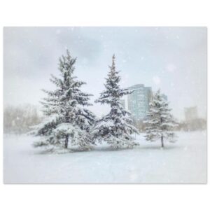 27687bc3-1677-4533-9883-bf86e54cd85d