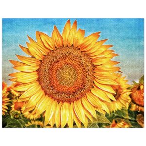 404ae81e-638c-45d1-837c-3287a9576839