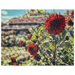 40f0faf1-5311-420e-b8d5-0f4aebb63806