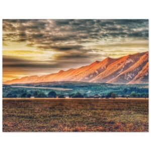 40fc5b7a-6a9b-43c5-94f1-b9de99178e67