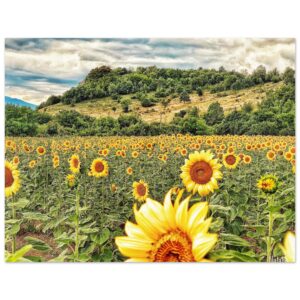 41ef6ec0-e635-4a4d-9af3-6e1f5e6e6e4a