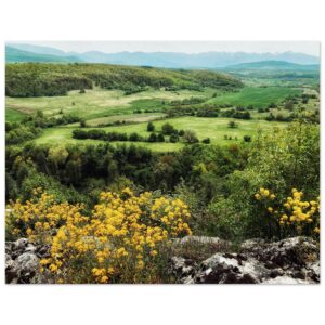 52bc873a-6638-440b-93ac-b3ab9c4d50b9