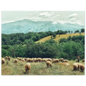 5401cee0-d4d1-43db-98d9-c4a47a40b18a