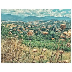 8894f0f5-89e7-491f-802b-2783c059af9e