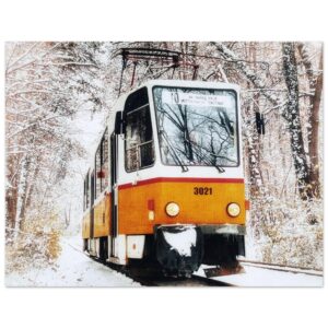 8ae5dbd9-0401-4ea6-88e9-05594af343d0