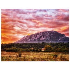 abcc9800-64c9-49f8-a1d7-b250e4d98837