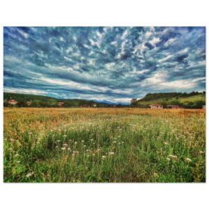 c67c44b1-171e-450d-ac55-88fc87b6015e