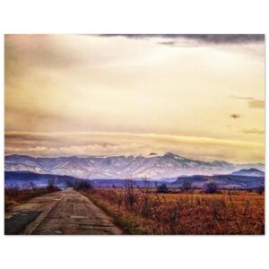 ca7d454a-88fa-4021-96dc-5f9dca938a84