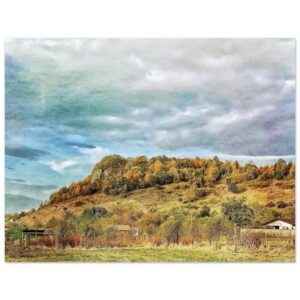 d1c8d354-5baa-485e-8047-d2df55288f72