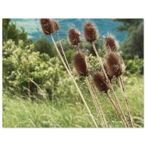 d985523f-0631-49c1-bb80-5e164684b573