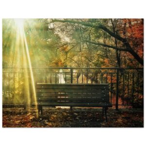 e2ada8ad-dd96-43c9-b369-c52d39b9d178