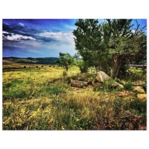 e30ddbae-8053-479e-a8cf-9ea898b0af37