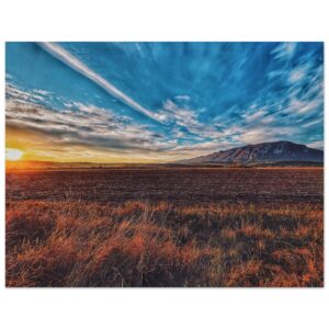 e31f988d-428c-4fe6-a9dc-ac24dcbe7173