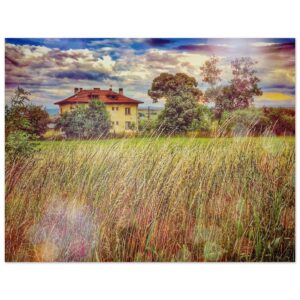 e429d3c9-99e4-437b-b5a4-6032c70614e9