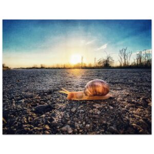 ed81f0bb-35a3-4c57-a722-fed4c1536452