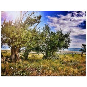 f0963961-c63d-49fb-887d-c0ff548dfacd